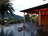 Yugawara Ryokan Toyoko 