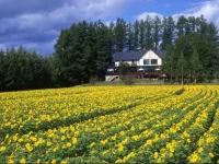 Kan Man Adagio Hokkaido 