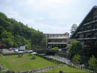 Tateshina Onsen Hotel Shinyu 3*