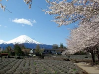Togawaso 