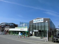FBC fuji backpackers capsule inn 