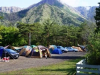 PICA Fujisaiko 