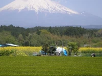 Hotel Hisashi 