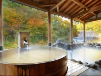 Sansuiso Tsuchiyu Spa 5*