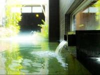 Kansai Airport Spa Hotel Garden Palace 