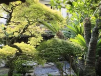 Gyokushoen Arai 