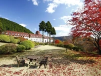Odakyu Hotel de Yama 