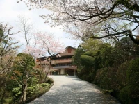 Senkyoro 