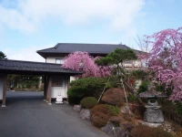 Yoshimatsu 