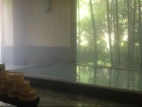 Hakone Onsen Sanso Nakamura 