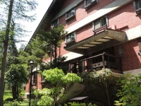 Yamanomori 
