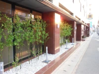 Saga Grace Hotel 