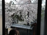 Tateitoan 
