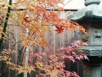 Guest House Bokuyado 