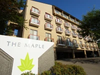 Maple Arima 