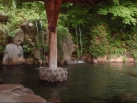 Shikinoyado Sujiyu 3*