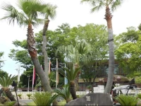 The Villa Hamanako 