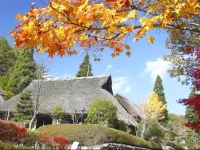 Family Resort in Kuma Kogen 