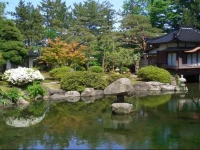 Tanakaya 