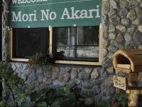 Morinoakari 