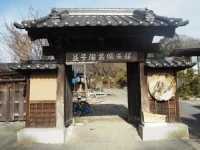 Furuki 