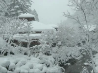 Houshi Onsen Chojukan 