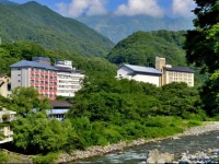 Matsunoi Hotel 3*