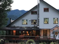 Bears House 