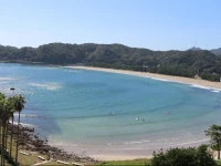 Marubun 