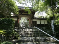 Shukubo Kakurinbo 