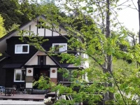 Lodge Pico 2*