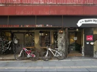 Worldtreck Dinner & Guesthouse Pise 