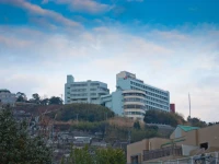Hotel Nagasaki 3*