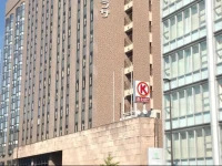 Hotel Sunroute Plaza Nagoya 3*