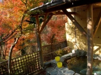Sawatari Onsen Miyataya Ryokan 
