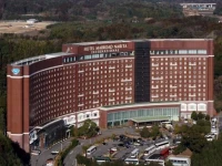 Marroad International Hotel Narita 4*