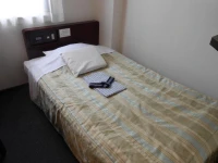 Niigata Terminal Hotel 3*