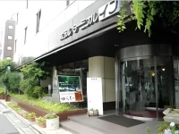 Hotel Terminal Inn 3*