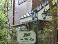 Inn the Mist 