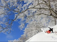 Nozawa Central 