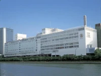 Hotel Osaka Castle 3*