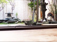 Gomaharu Guesthouse 