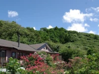 Mashio Hotel & Resort 