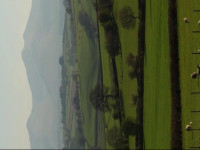 Caebetran Farm & The Stable