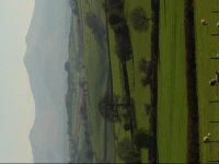 Caebetran Farm & The Stable 