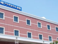 Ryugasaki Plaza Hotel New Wing 