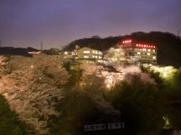Shigisan Kanko Hotel 3*