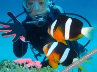 Diving and Pension Riki 