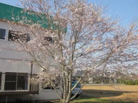 Narita Airport Hostel 