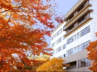 Ichikawa Bekkan Seikanso 3*